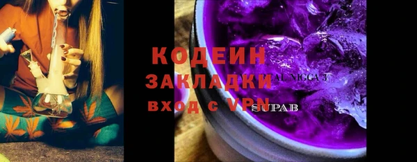 ГАЛЛЮЦИНОГЕННЫЕ ГРИБЫ Дмитриев