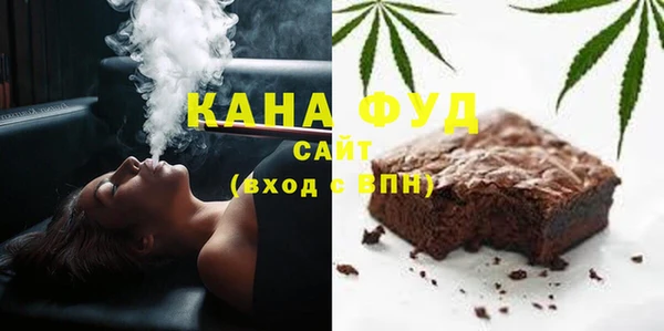 ГАЛЛЮЦИНОГЕННЫЕ ГРИБЫ Дмитриев