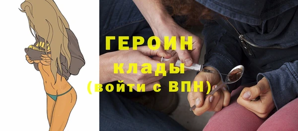 ГАЛЛЮЦИНОГЕННЫЕ ГРИБЫ Дмитриев