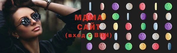 ГАЛЛЮЦИНОГЕННЫЕ ГРИБЫ Дмитриев