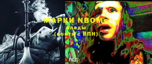 ГАЛЛЮЦИНОГЕННЫЕ ГРИБЫ Дмитриев