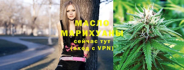 ГАЛЛЮЦИНОГЕННЫЕ ГРИБЫ Дмитриев