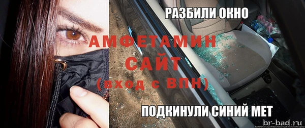ГАЛЛЮЦИНОГЕННЫЕ ГРИБЫ Дмитриев