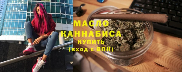 ГАЛЛЮЦИНОГЕННЫЕ ГРИБЫ Дмитриев