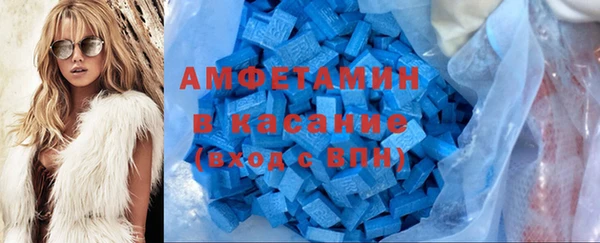 ГАЛЛЮЦИНОГЕННЫЕ ГРИБЫ Дмитриев