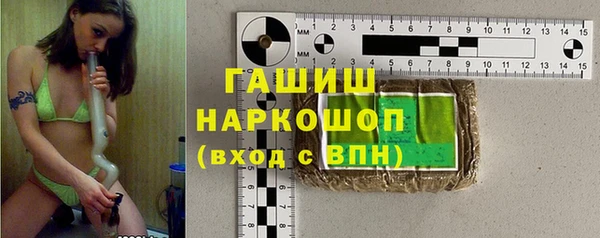 ГАЛЛЮЦИНОГЕННЫЕ ГРИБЫ Дмитриев