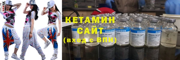 ГАЛЛЮЦИНОГЕННЫЕ ГРИБЫ Дмитриев