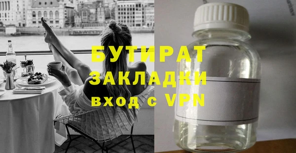 ГАЛЛЮЦИНОГЕННЫЕ ГРИБЫ Дмитриев