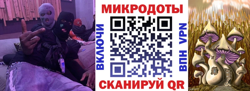 Купить  Могоча  Галлюциногенные грибы Psilocybine cubensis 